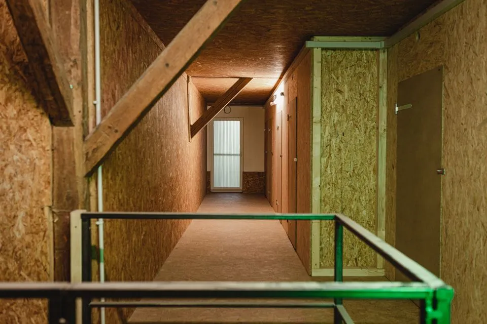 Bachtelweiher Lager - Gang